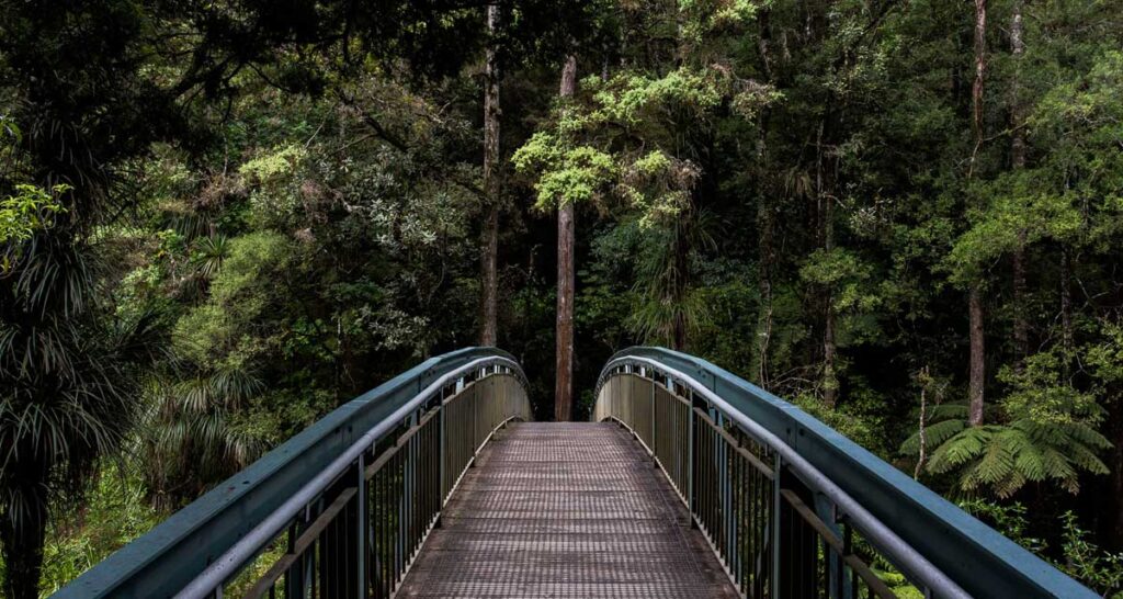 Mastering Sustainability: An Example Business Carbon Reduction Strategy