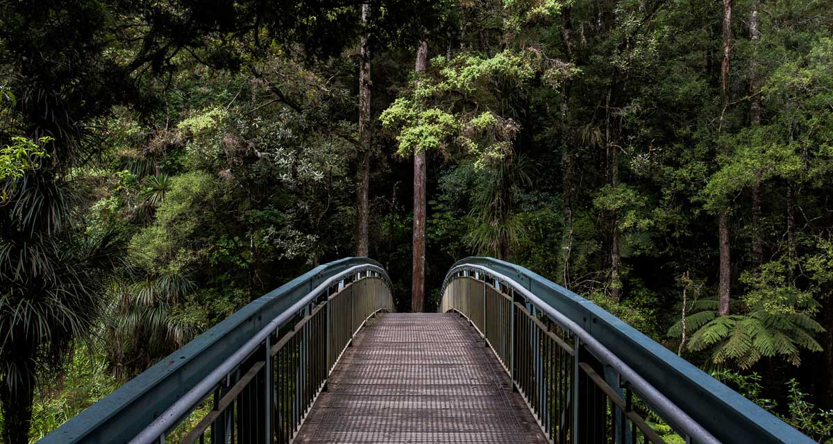 Mastering Sustainability: An Example Business Carbon Reduction Strategy