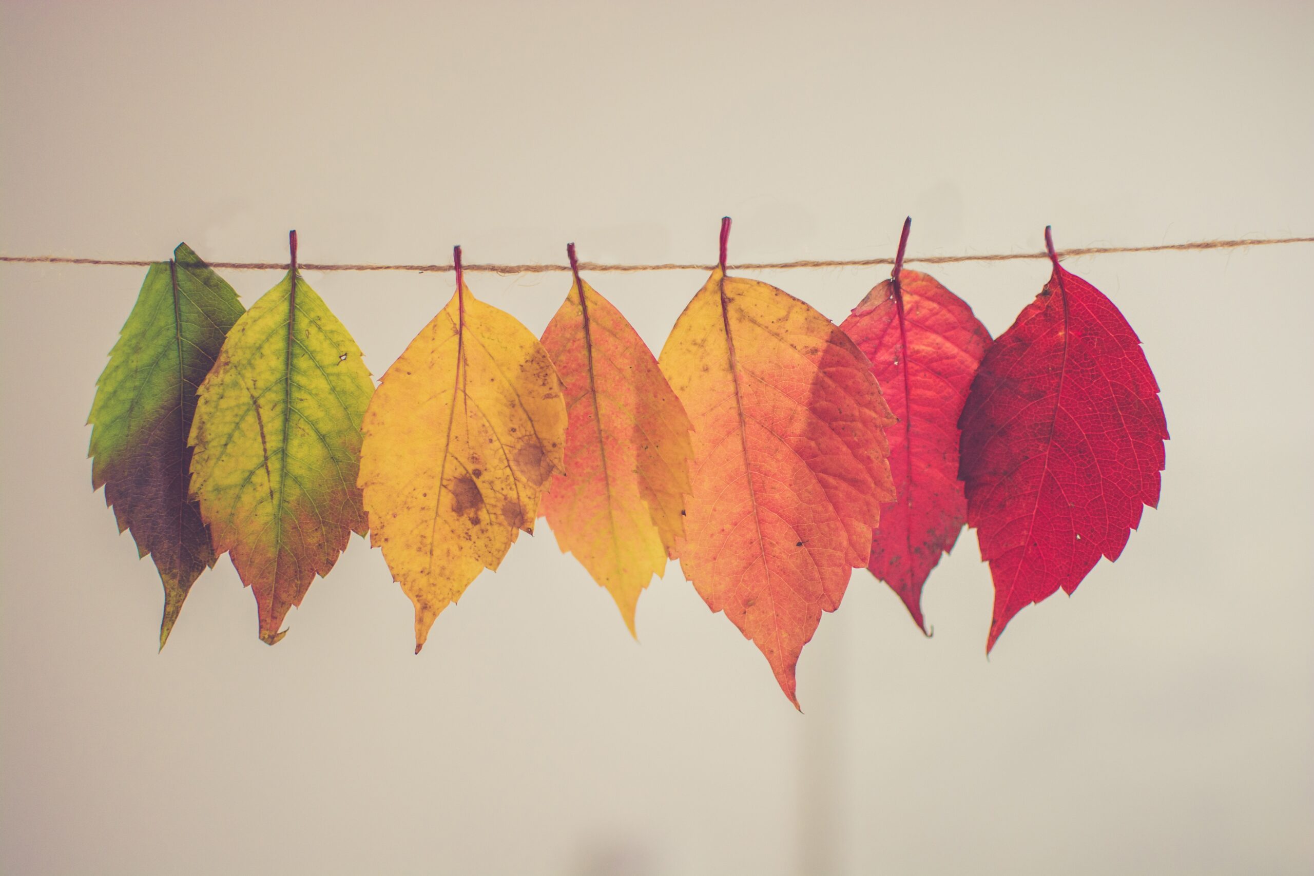 What is Business Transformation?